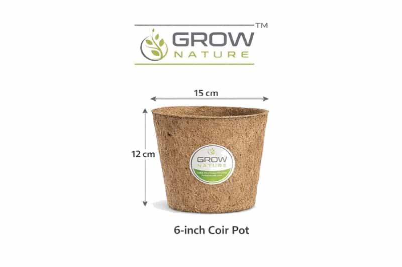 6" Coir Pot Pack of 2