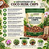 Husk Chips
