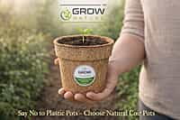 4" Coir Pot Pack of 4
