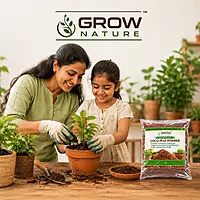 1kg Cocopeat Powder