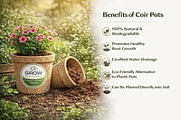 6" Coir Pot Pack of 2