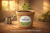 6" Coir Pot Pack of 2
