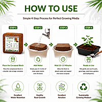 1kg Cocopeat Block Pack of 1