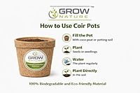 6" Coir Pot Pack of 2