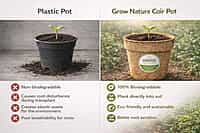 4" Coir Pot Pack of 4