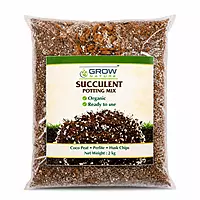Succulent Potting Mix - 2kg