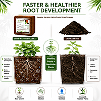 1kg Cocopeat Block Pack of 1
