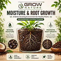 1kg Cocopeat Powder