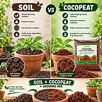 5kg Cocopeat Powder