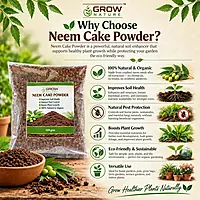 Neem Cake Powder