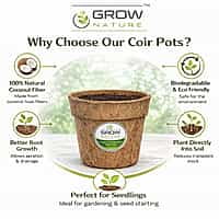 4" Coir Pot Pack of 4