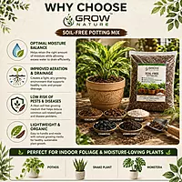 Soil-Free Potting Mix For Indoor Plants