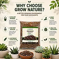 Succulent Potting Mix - 2kg